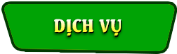 Dịch vụ